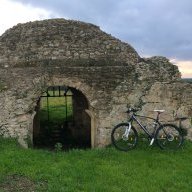 bull27.5