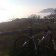 bici84