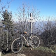cizzo