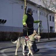 albyjkl