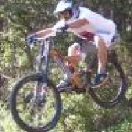 pinofreerider