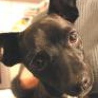 Blackie