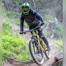 lorenzo demo