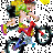 Skiter