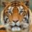 Liz_84