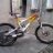 carlocat8008