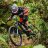rocconet87